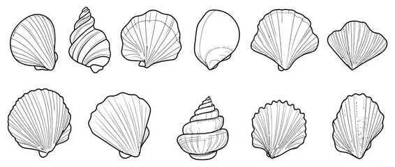 Collection Of Hand Drawn Sea Shells In Black And White Outlines