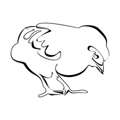 Single continuous line drawing the chick. Cute little chicken. One line design vector illustration