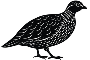 Bobwhite quail vector design silhouette, quail bird silhouette vector illustration design.