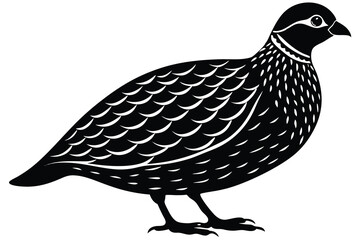 Bobwhite quail vector design silhouette, quail bird silhouette vector illustration design.
