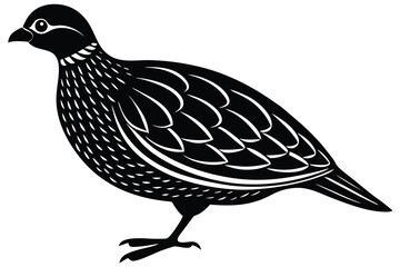 Bobwhite quail vector design silhouette, quail bird silhouette vector illustration design.