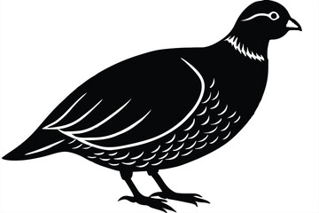 Bobwhite quail vector design silhouette, quail bird silhouette vector illustration design.