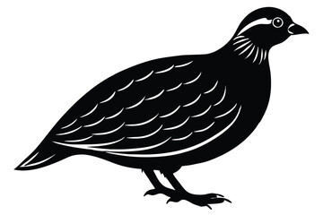 Bobwhite quail vector design silhouette, quail bird silhouette vector illustration design.