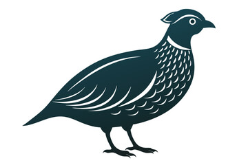 Bobwhite quail vector design silhouette, quail bird silhouette vector illustration design.