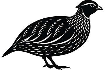 Bobwhite quail vector design silhouette, quail bird silhouette vector illustration design.