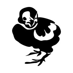 Black silhouette of the chick. Cute little chicken. vector illustration