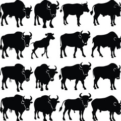 Black Cow silhouette vector icon set isolated on white background.