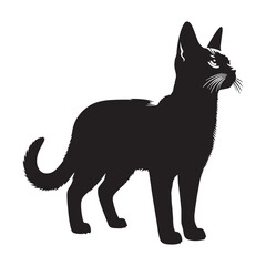 Striking Chausie silhouette, featuring its unique and captivating form – Chausie illustration – Chausie vector – cat silhouette

