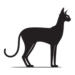 Exquisite Peterbald silhouette, capturing its charm and beauty – Peterbald illustration – Peterbald vector – cat silhouette

