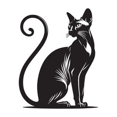 Refined Peterbald silhouette, a minimalist depiction of this graceful breed – Peterbald illustration – Peterbald vector – cat silhouette

