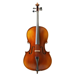 Fototapeta premium Classic wooden violin on a neutral background, beautiful details