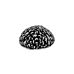 Black And White Illustration Of A Round Textured Object
