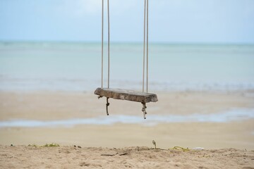 Rustic Swing Over Sandy Beach