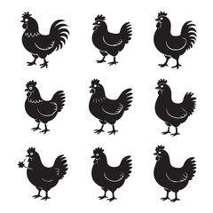   Set of Cartoon Chicken Character Silhouettes in Funny Poses – Collection of Comedic Bird Expressions and Movements for Humor and Animation Projects