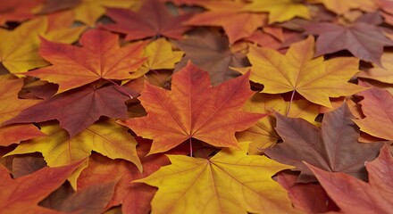 Fototapeta premium Autumn's Ember Glow AI Generated