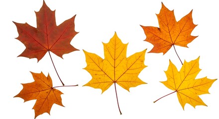 Autumn's Ember Dance AI Generated