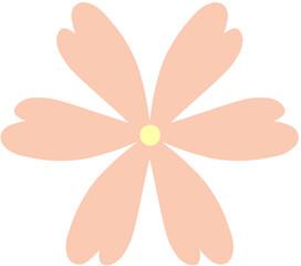 flower and orange flowers