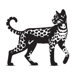 Bold Savannah silhouette, showcasing its fearless and adventurous personality – Savannah illustration – Savannah vector – cat silhouette

