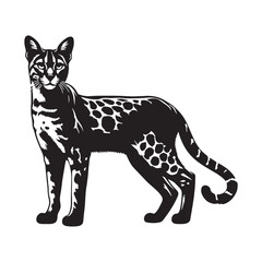 Majestic Savannah silhouette, capturing its wild beauty and sleek physique – Savannah illustration – Savannah vector – cat silhouette

