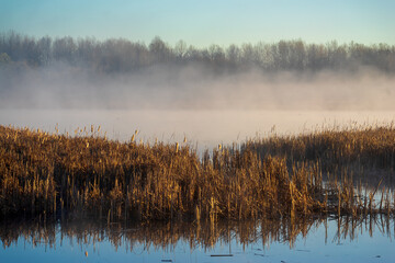 Wiosenny poranek ze słońcem i mgłami, Stawy Dojlidzkie, Podlasie © podlaski49