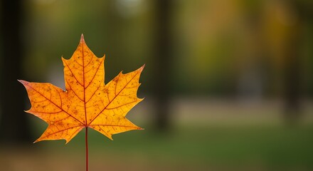 Autumn's Ember Glow AI Generated