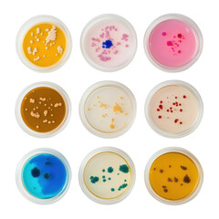Colorful Petri Dishes Displaying Various Microbial Cultures and Growths
