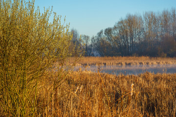 Wiosenny poranek ze słońcem i mgłami, Stawy Dojlidzkie, Podlasie © podlaski49