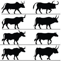 Black Cow silhouette vector icon set isolated on white background.