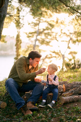 Fototapeta premium Dad feeding a little girl from a lunch box with a spoon while sitting on logs in the forest