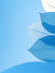 Light Blue Leaves Against Sky