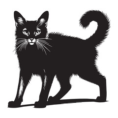 Striking Somali silhouette, featuring its unique and captivating form – Somali illustration – Somali vector – cat silhouette

