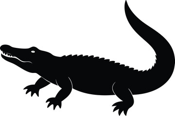 Obraz premium lizard on a white background