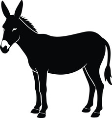 black horse vector illustration