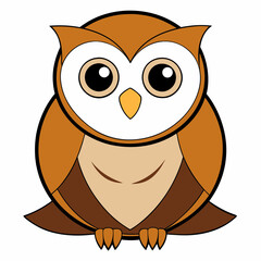 owl on white background
