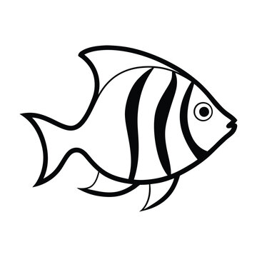  tropical fish vector whrite background.