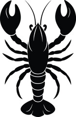 black scorpion isolated on white