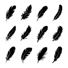 Feather Silhouette Vector Bundle Black and White Feather Clipart EPS Illustration