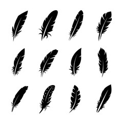 Feather Silhouette Vector Bundle Black and White Feather Clipart EPS Illustration
