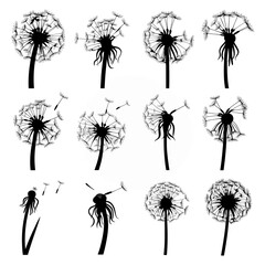 Dandelion Silhouette Vector Bundle Black and White Dandelion Clipart EPS Illustration