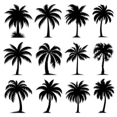 Coconut Palm Silhouette Vector Bundle Black and White Coconut Palm Clipart EPS Illustration
