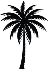 palm tree silhouette