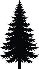 christmas tree vector