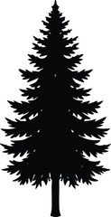 Obraz premium christmas tree silhouette