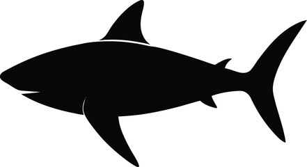 Fototapeta premium great white shark
