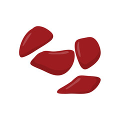 Beef liver vector illustration