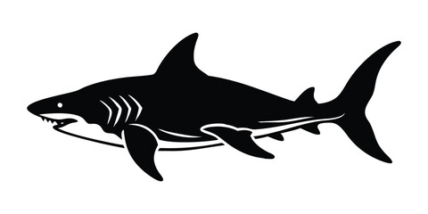 shark vector illustration