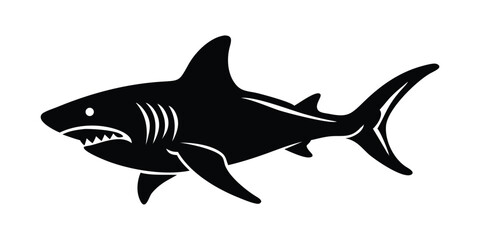 Fototapeta premium shark vector illustration