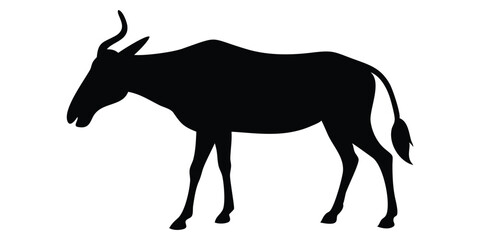 silhouette of a deer