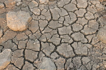 Cracked Dry Ground with Stones in Arid Landscape During Drought