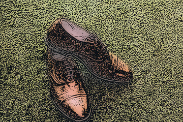Brown leather lace-up shoes with rounded toes and classic design rest on a textured green grass background.